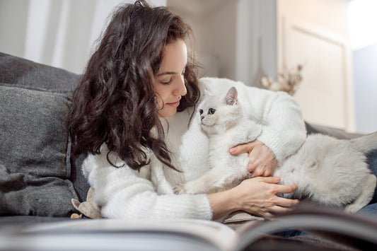 Keeping Your Cat Active Indoors with Cat Wall Shelves